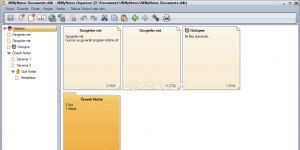 AllMyNotes Organizer Free Edition indir