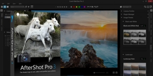 Corel AfterShot Pro indir