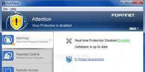 FortiClient Standard indir