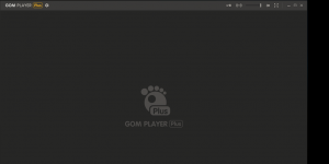 GOM Player Plus indir