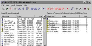 MicroFTP 2000 indir