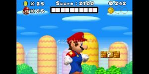 New Super Mario Bros indir