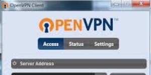 OpenVPN indir