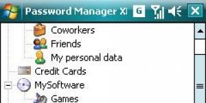 Password Manager XP indir