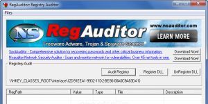 RegAuditor indir