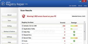 Simnet Registry Repair 2011 indir