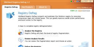 WinMend Registry Defrag indir